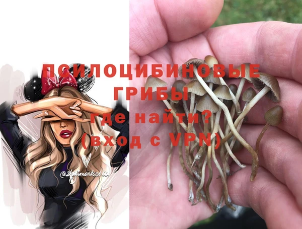 амф Майский