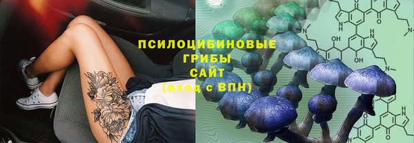 марки lsd Гусев
